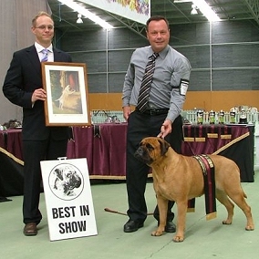 Glenn Sparham awarding Best in Show at the Dominion Bullmastiff Club of New Zealand.